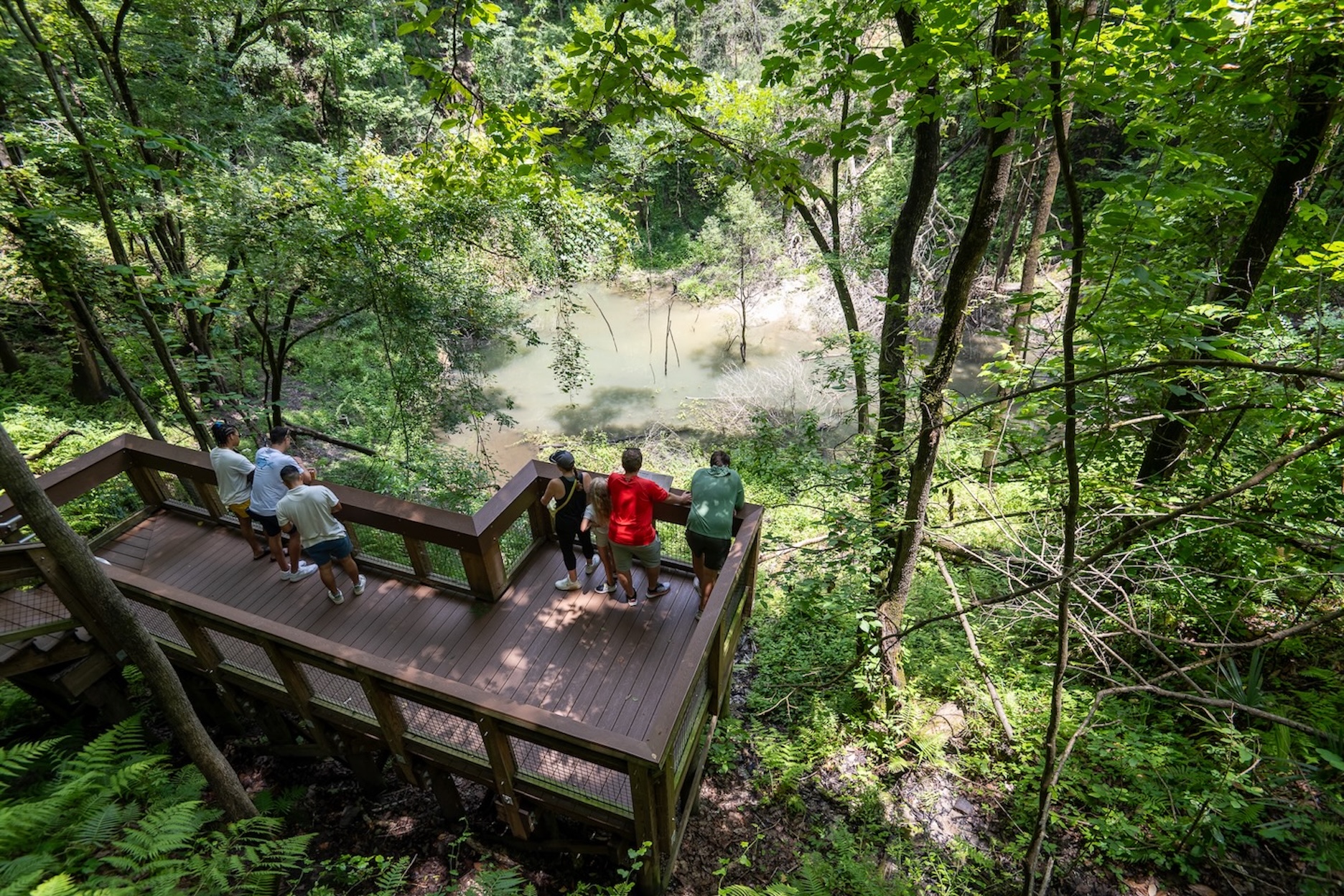 Devils Millhopper Geological State Park - Credit Sara Sheehy Live Wildly